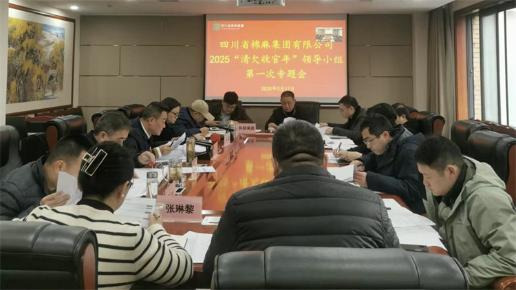 集团公司召开2025“清欠收官年”领导小组第一次专题会
